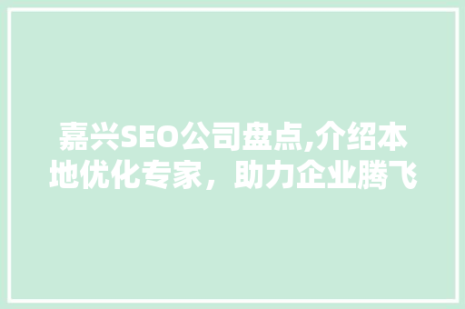 嘉兴SEO公司盘点,介绍本地优化专家，助力企业腾飞