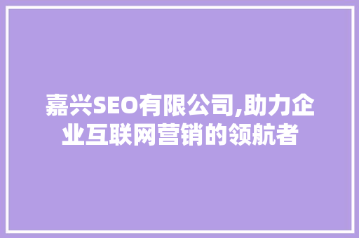嘉兴SEO有限公司,助力企业互联网营销的领航者