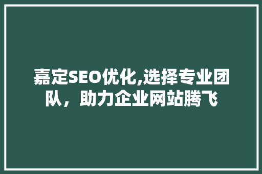 嘉定SEO优化,选择专业团队，助力企业网站腾飞