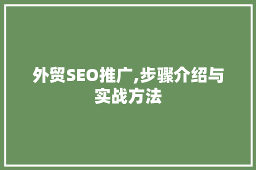 外贸SEO推广,步骤介绍与实战方法