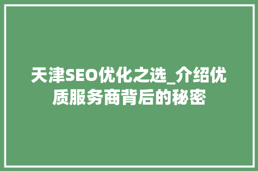 天津SEO优化之选_介绍优质服务商背后的秘密