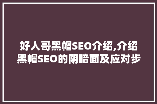 好人哥黑帽SEO介绍,介绍黑帽SEO的阴暗面及应对步骤