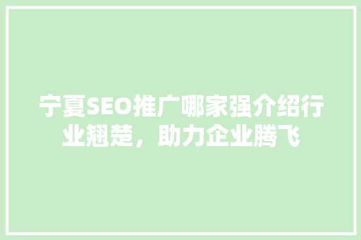 宁夏SEO推广哪家强介绍行业翘楚，助力企业腾飞