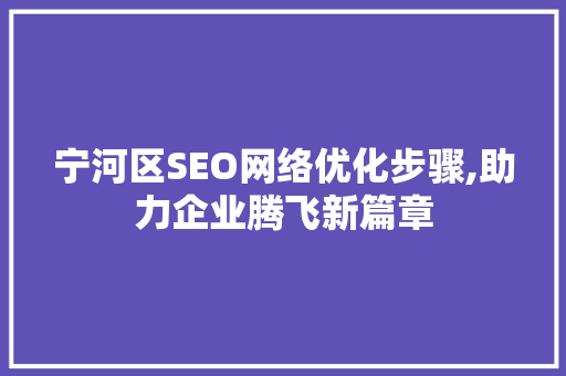 宁河区SEO网络优化步骤,助力企业腾飞新篇章
