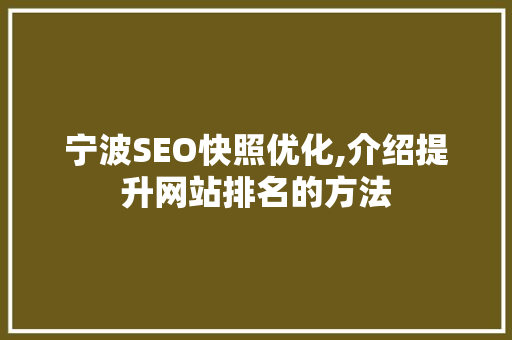 宁波SEO快照优化,介绍提升网站排名的方法