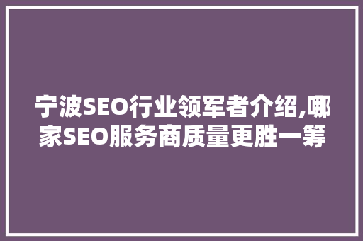 宁波SEO行业领军者介绍,哪家SEO服务商质量更胜一筹