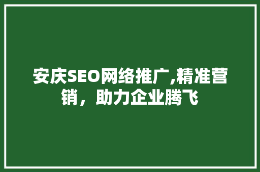 安庆SEO网络推广,精准营销，助力企业腾飞