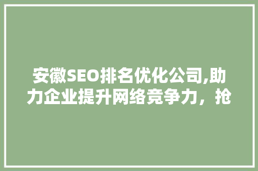 安徽SEO排名优化公司,助力企业提升网络竞争力，抢占市场先机