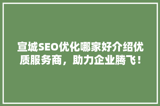 宣城SEO优化哪家好介绍优质服务商，助力企业腾飞！