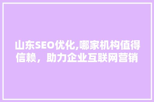 山东SEO优化,哪家机构值得信赖，助力企业互联网营销腾飞