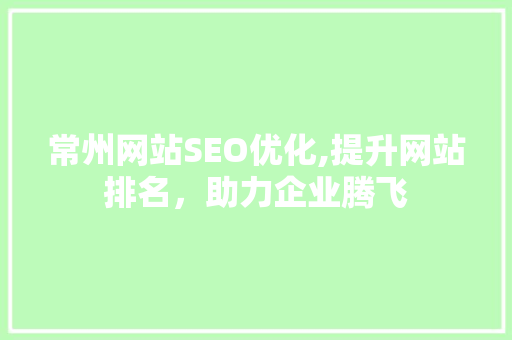 常州网站SEO优化,提升网站排名，助力企业腾飞