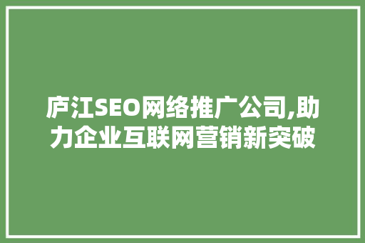 庐江SEO网络推广公司,助力企业互联网营销新突破