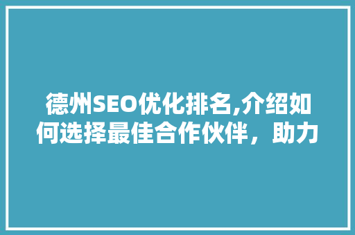 德州SEO优化排名,介绍如何选择最佳合作伙伴，助力企业腾飞