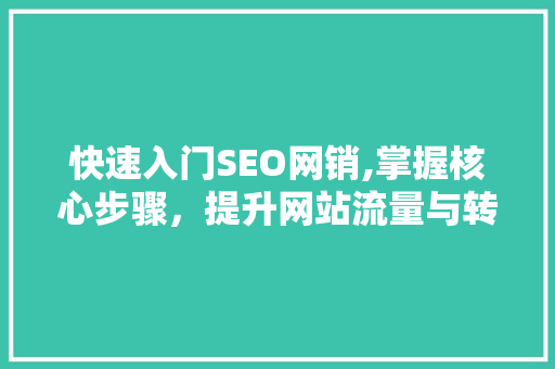 快速入门SEO网销,掌握核心步骤，提升网站流量与转化率