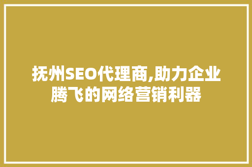 抚州SEO代理商,助力企业腾飞的网络营销利器