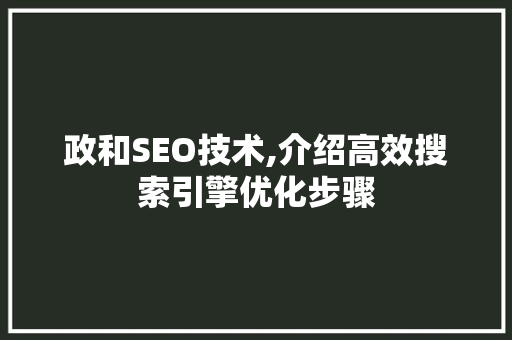 政和SEO技术,介绍高效搜索引擎优化步骤
