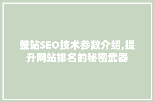 整站SEO技术参数介绍,提升网站排名的秘密武器