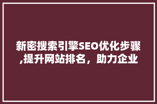 新密搜索引擎SEO优化步骤,提升网站排名，助力企业腾飞