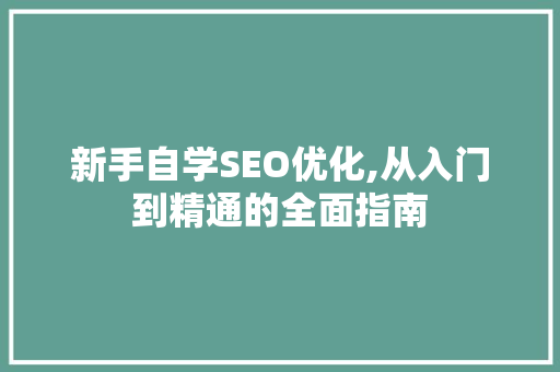 新手自学SEO优化,从入门到精通的全面指南