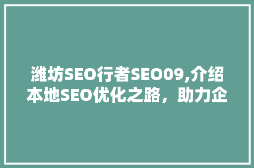 潍坊SEO行者SEO09,介绍本地SEO优化之路，助力企业腾飞