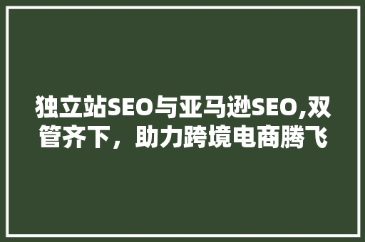 独立站SEO与亚马逊SEO,双管齐下，助力跨境电商腾飞