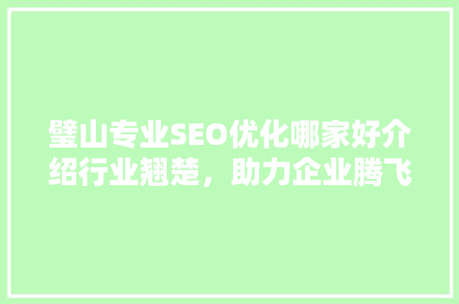 璧山专业SEO优化哪家好介绍行业翘楚，助力企业腾飞