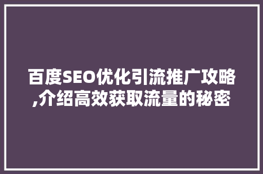 百度SEO优化引流推广攻略,介绍高效获取流量的秘密武器