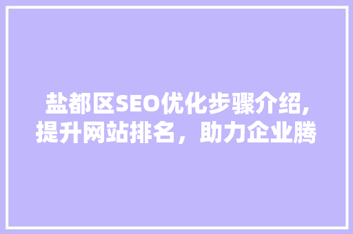 盐都区SEO优化步骤介绍,提升网站排名，助力企业腾飞