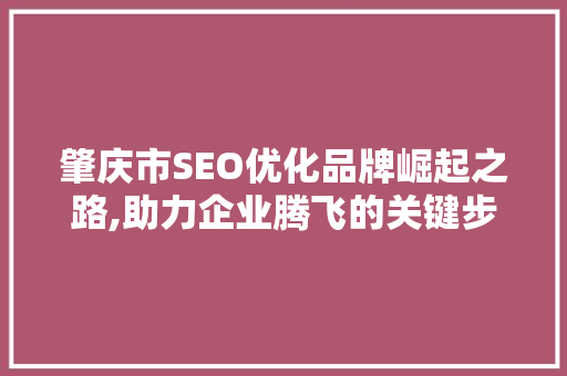肇庆市SEO优化品牌崛起之路,助力企业腾飞的关键步骤