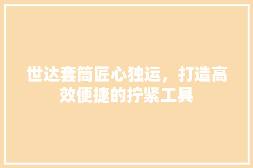 世达套筒匠心独运，打造高效便捷的拧紧工具