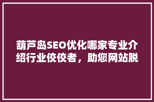 葫芦岛SEO优化哪家专业介绍行业佼佼者，助您网站脱颖而出！