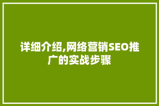 详细介绍,网络营销SEO推广的实战步骤
