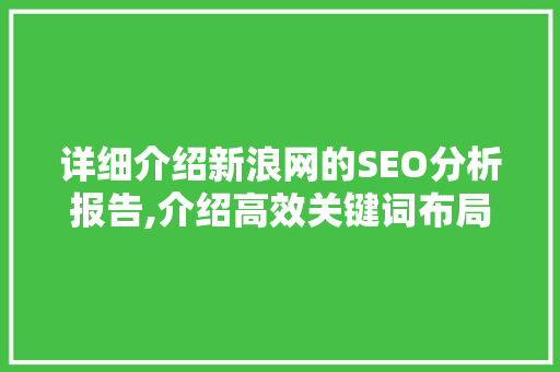 详细介绍新浪网的SEO分析报告,介绍高效关键词布局之路