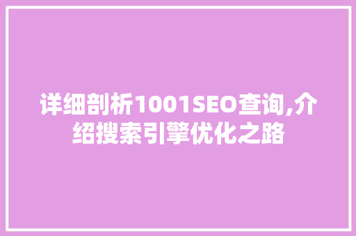 详细剖析1001SEO查询,介绍搜索引擎优化之路