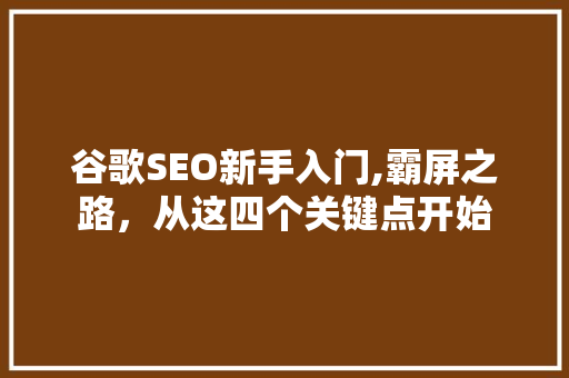 谷歌SEO新手入门,霸屏之路，从这四个关键点开始