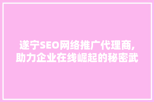 遂宁SEO网络推广代理商,助力企业在线崛起的秘密武器