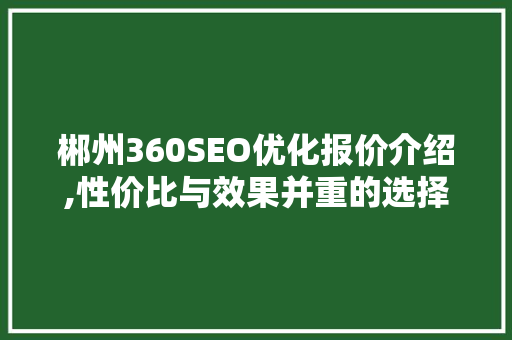 郴州360SEO优化报价介绍,性价比与效果并重的选择之路