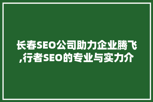 长春SEO公司助力企业腾飞,行者SEO的专业与实力介绍
