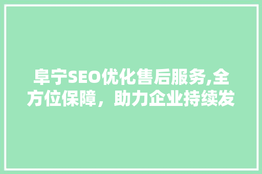 阜宁SEO优化售后服务,全方位保障，助力企业持续发展