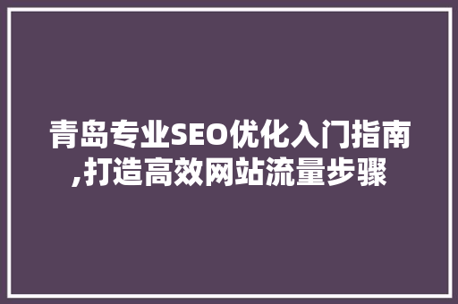青岛专业SEO优化入门指南,打造高效网站流量步骤