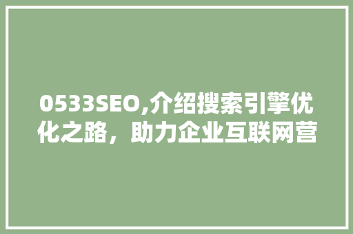 0533SEO,介绍搜索引擎优化之路，助力企业互联网营销