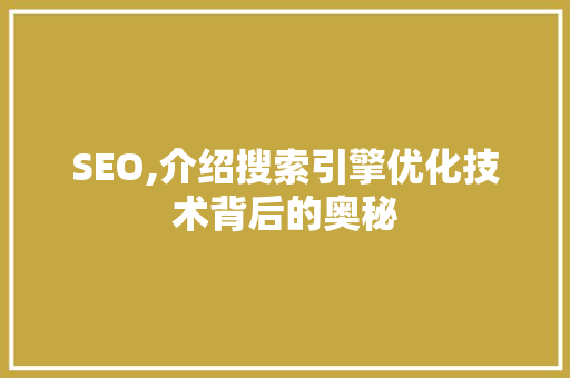 SEO,介绍搜索引擎优化技术背后的奥秘