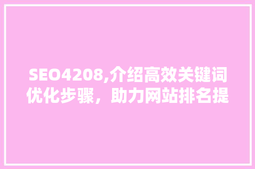 SEO4208,介绍高效关键词优化步骤，助力网站排名提升