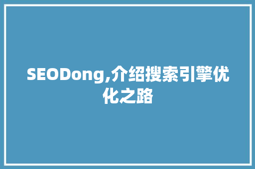 SEODong,介绍搜索引擎优化之路