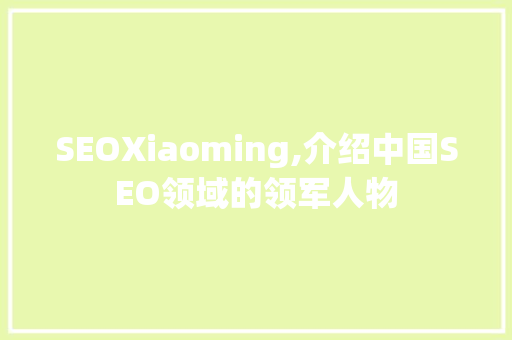 SEOXiaoming,介绍中国SEO领域的领军人物