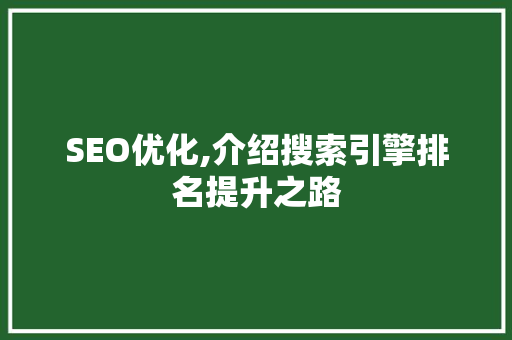 SEO优化,介绍搜索引擎排名提升之路