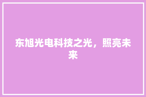 东旭光电科技之光，照亮未来