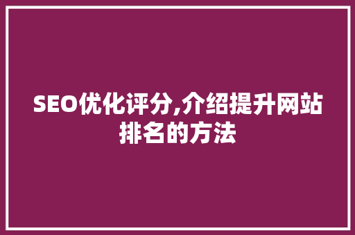 SEO优化评分,介绍提升网站排名的方法
