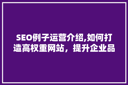 SEO例子运营介绍,如何打造高权重网站，提升企业品牌影响力