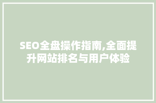 SEO全盘操作指南,全面提升网站排名与用户体验
